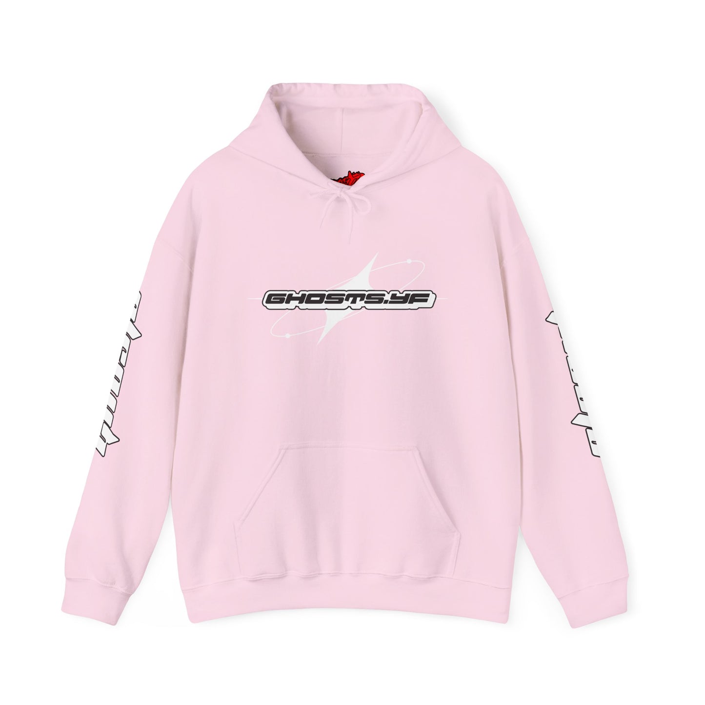 Copy of Back design Champion Hoodie